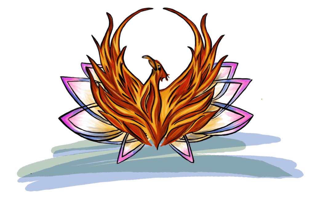The Mind-Body Connection Yoga & Pilates Studio